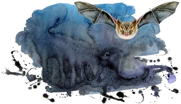 Abstract watercolor brush strokes painted background with bat in flight. Texture paper.