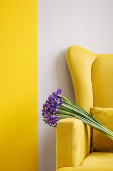 Iris bouquet on yellow chair on grey background . Holiday , mothers day, women's day background. Copy space side view