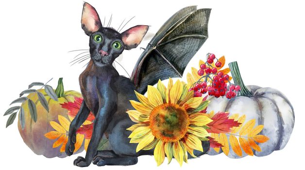 Watercolor illustration cute black cat with bat wings with with Halloween pumpkin.
