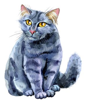 Black Cat. Watercolor Painting. Hand-drawing Illustration
