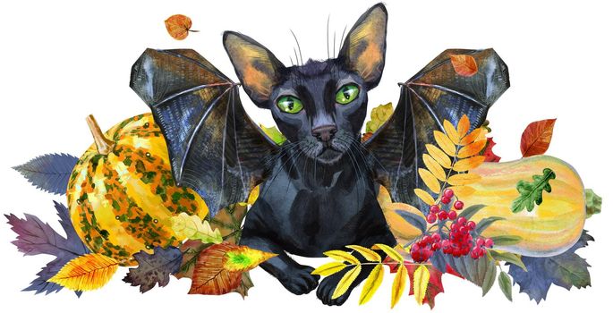 Watercolor illustration cute black cat with bat wings with to a Halloween pumpkin.