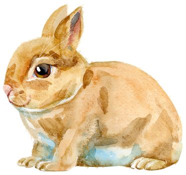 Cute beige rabbit on white background with splashes, isolated