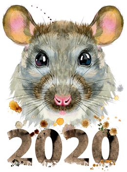 Cute rat for t-shirt graphics. Watercolor rat illustration with year 2020