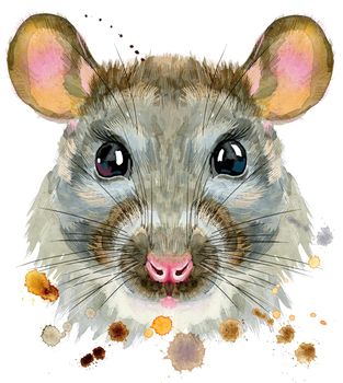 Cute rat for t-shirt graphics. Watercolor rat illustration