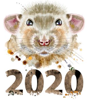 Cute rat for t-shirt graphics. Watercolor rat illustration with year 2020