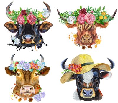 Illustration of a brown long-horned bull in chullo hat, bull in wreath of leaves, bulls in cowbow