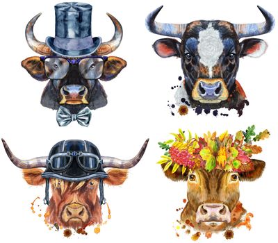Illustration of a brown long-horned bull in chullo hat, bull in wreath of leaves, bulls in cowbow