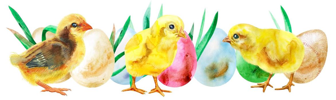 Watercolor Easter colored eggs, green grass and chickens on white background. Design element for greeting cards, note cards and invitations.