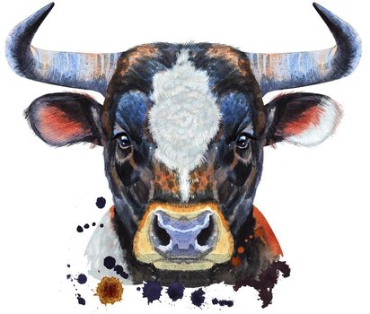 Bull with white spot. Watercolor graphics. Bull animal illustration with splashes watercolor textured background.