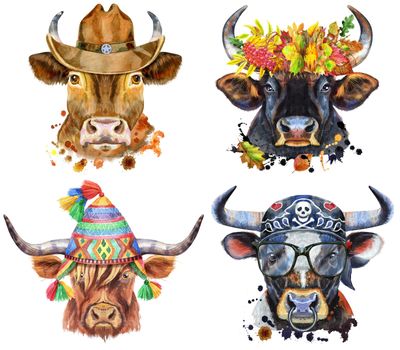 Illustration of a brown long-horned bull in chullo hat, bull in wreath of leaves, bulls in cowbow