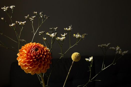 Beautiful orange coloured sunny Dahlia flower , yellow craspedia and white dried flowers, modern bouquet flowers dark style still life side view