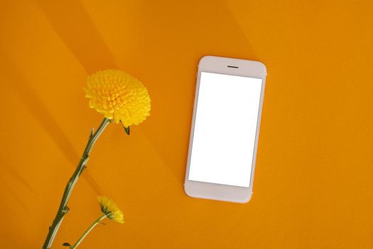 Soft flower of yellow marigold and mobile phone with white screen on dark yellow background copy space and close-up. Aesthetic still life with shadows and technology top view