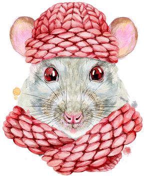 Cute white rat with pink knitted hat for t-shirt graphics. Watercolor rat illustration