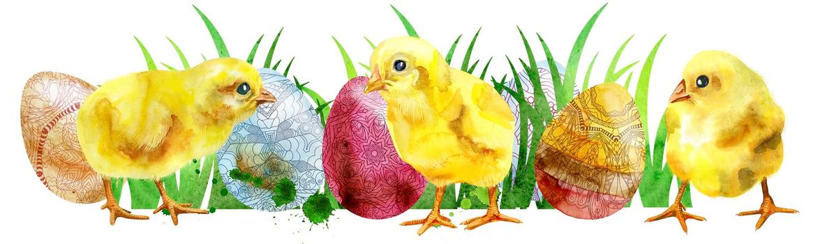Watercolor Easter colored eggs, green grass and chickens on white background. Design element for greeting cards, note cards and invitations.