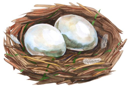 Nest with eggs. Painted with watercolors on white background. Spring decoration. Decorating for Easter.