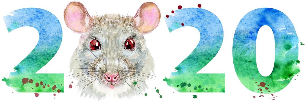 Cute rat for t-shirt graphics. Watercolor rat in Santa hat illustration with year 2020