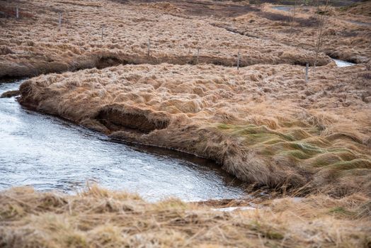 Icelandic winding flowing water throughout brown grassy landscape windy cold