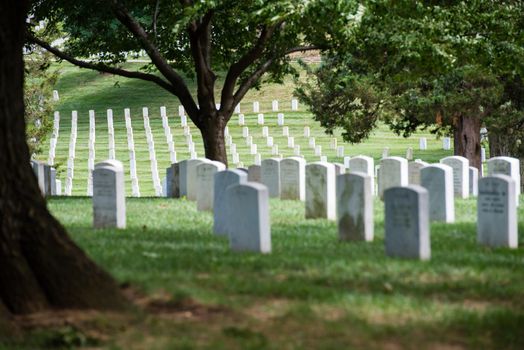 Heroes of war gravestones at Arlington National Cemetery.