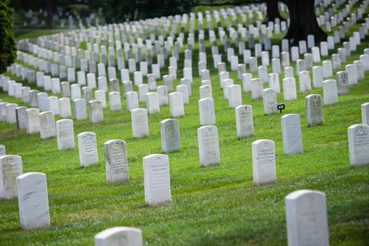 Gravestones at Arlington National Cemetery.