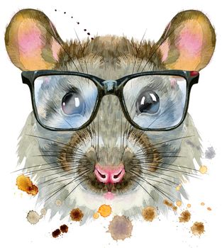 Cute rat with big black glasses for t-shirt graphics. Watercolor rat illustration