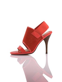 Modern fashionable women shoe shot in studio