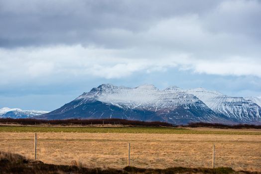 landscape of grassy fields with a snowcapped blue mountain range in Iceland