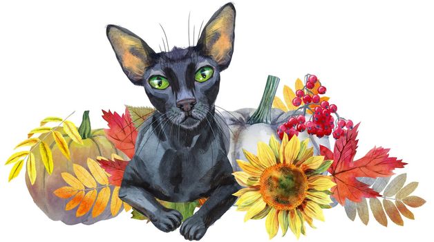 Watercolor illustration cute black cat with to a Halloween pumpkin.