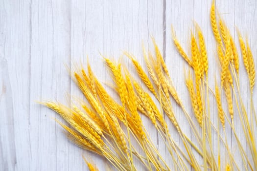 detail shot of wheat spikelets on table.