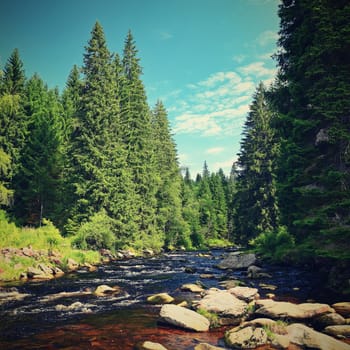 Beautiful river with stones and trees in the mountains with forest. Nature - landscape. Background with blue sky and sun - Vydra river in Sumava, Czech Republic.