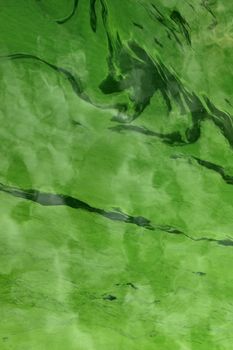 Cyanobacteria in the water. Dirty green water in a pond / dam in summer. Dangerous bathing for allergy sufferers. Environmental concept