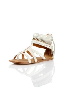 Modern womens fashion shoes isolated on white background