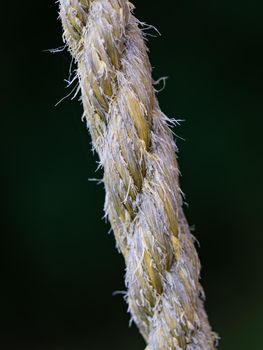 Close up on the braided strands of a rope made of natural material, sisal or hemp fibres on greel blurry background