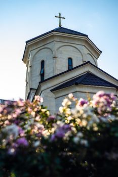 Traditional georgian church architecture on the blooming bush background