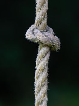 Rope ring knot hanging on wooden beam, trees in blurry background