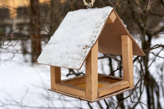 Feeder with sprinkled cereal. Feeding birds in winter, roblem of survival of birds