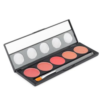 Make-up palette isolated