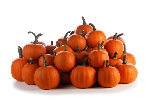 Heap of many harvest orange pumpkins isolated on white background , Halloween or Thanksgiving celebration concept