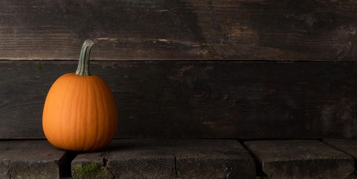 One Halloween pumpkin ready to be carved on a dark wooden background with copy space for text