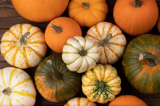 Many various colorful pumpkins background, Halloween or Thanksgiving day concept