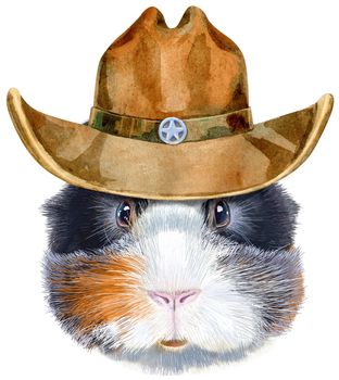 Cute cavy in cowboy hat. Pig for T-shirt graphics. Watercolor abyssinian guinea pig illustration