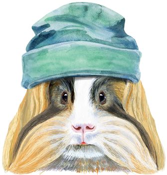 Cute cavy in bindie hat. Pig for T-shirt graphics. Watercolor Sheltie Guinea Pig illustration
