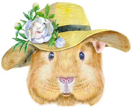 Guinea pig with summer hat. Pig for T-shirt graphics. Watercolor Self guinea pig illustration