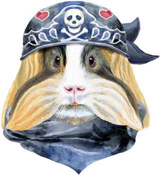 Cute cavy in biker bandana. Pig for T-shirt graphics. Watercolor Sheltie Guinea Pig illustration