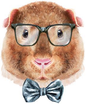 Guinea pig with bow-tie and glasses. Pig for T-shirt graphics. Watercolor Teddy guinea pig illustration