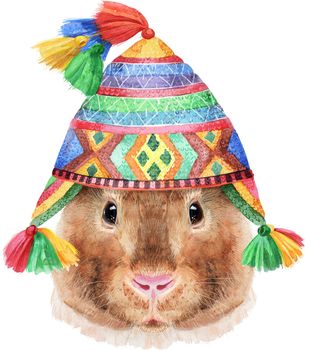 Guinea pig in chullo hat. Pig for T-shirt graphics. Watercolor Teddy guinea pig illustration