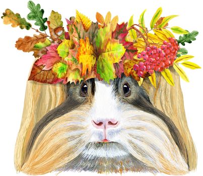 Cute cavy in a wreath of autumn leaves. Pig for T-shirt graphics. Watercolor Sheltie Guinea Pig illustration