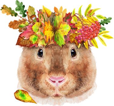 Guinea pig with wreath of leaves. Pig for T-shirt graphics. Watercolor Teddy guinea pig illustration