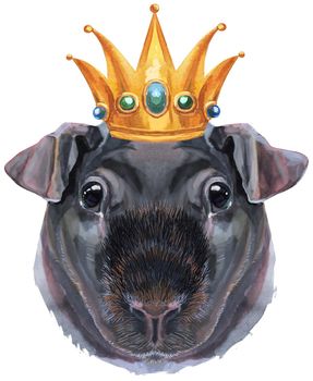 Cute cavy with gold crown. Pig for T-shirt graphics. Watercolor Skinny Guinea Pig illustration