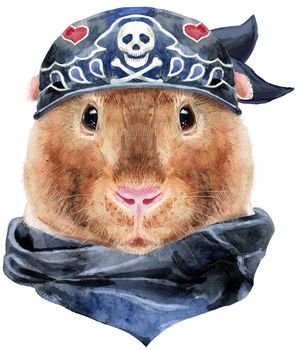 Guinea pig in biker bandana. Pig for T-shirt graphics. Watercolor Teddy guinea pig illustration