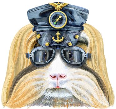Cute cavy wearing a leather cap and biker glasses. Pig for T-shirt graphics. Watercolor Sheltie Guinea Pig illustration